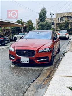 جاكوار XF
